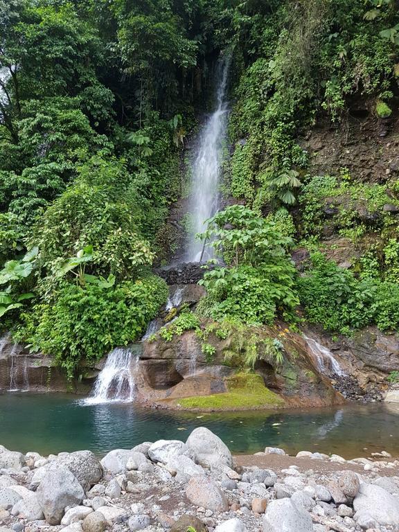 Hostel Orozco - Costa Rica Río Cuarto Eksteriør bilde