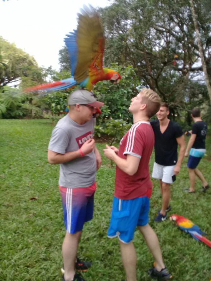 Hostel Orozco - Costa Rica Río Cuarto Eksteriør bilde
