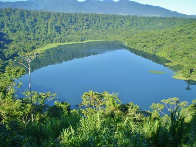 Hostel Orozco - Costa Rica Río Cuarto Eksteriør bilde
