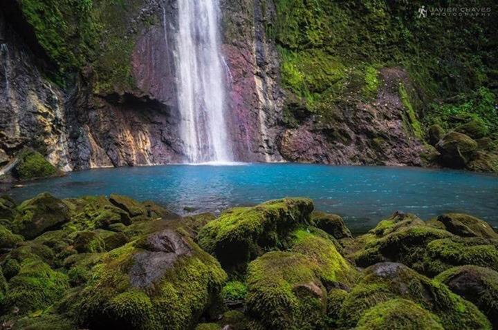 Hostel Orozco - Costa Rica Río Cuarto Eksteriør bilde