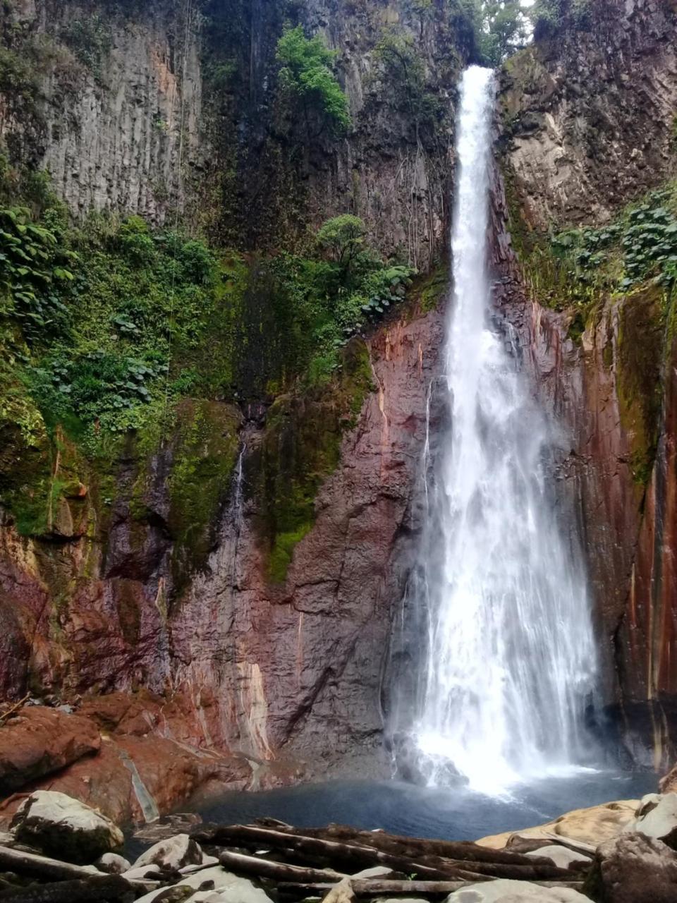 Hostel Orozco - Costa Rica Río Cuarto Eksteriør bilde