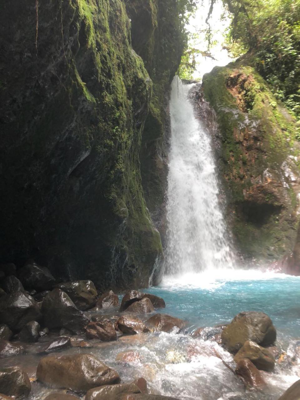 Hostel Orozco - Costa Rica Río Cuarto Eksteriør bilde
