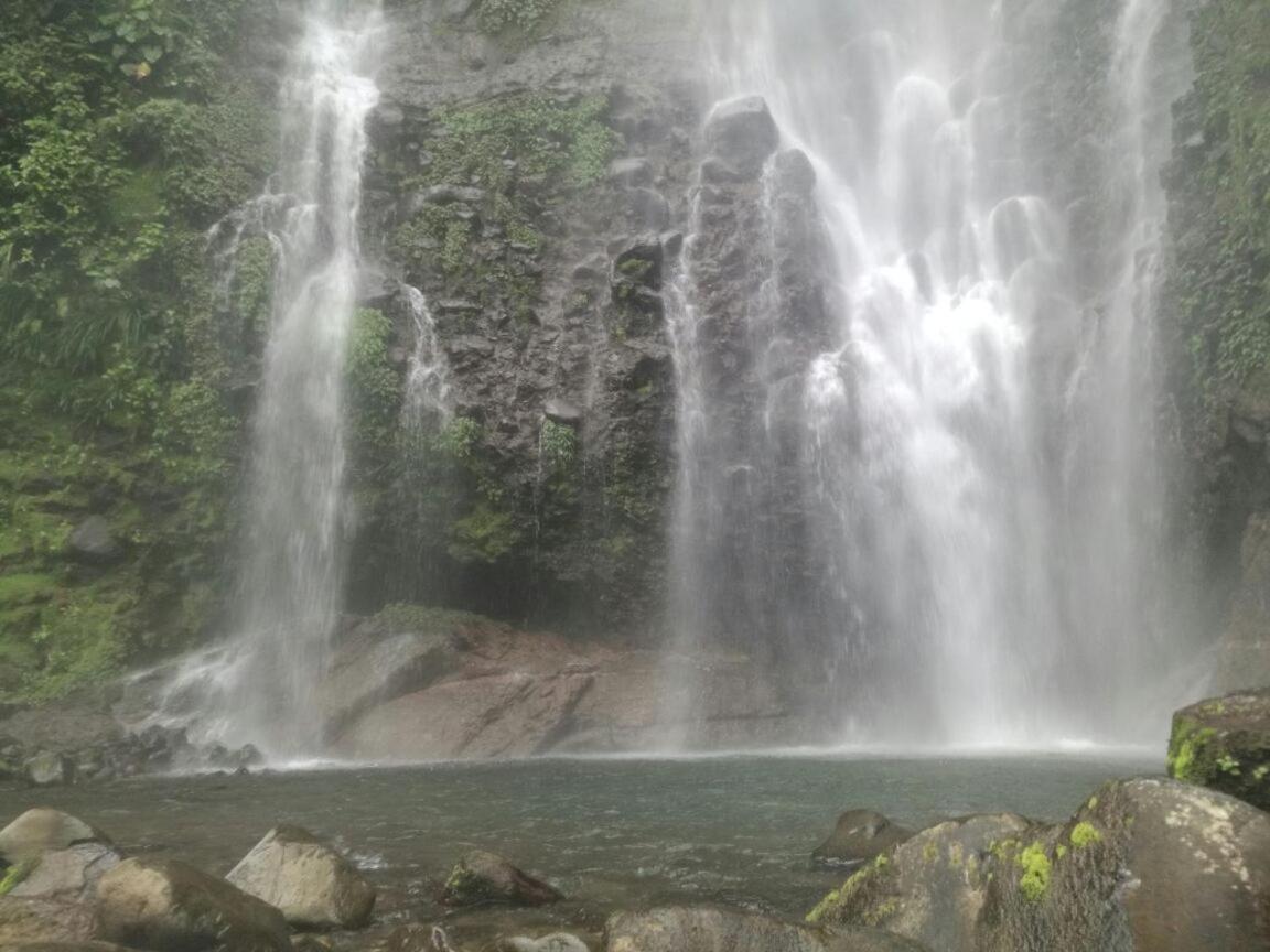 Hostel Orozco - Costa Rica Río Cuarto Eksteriør bilde
