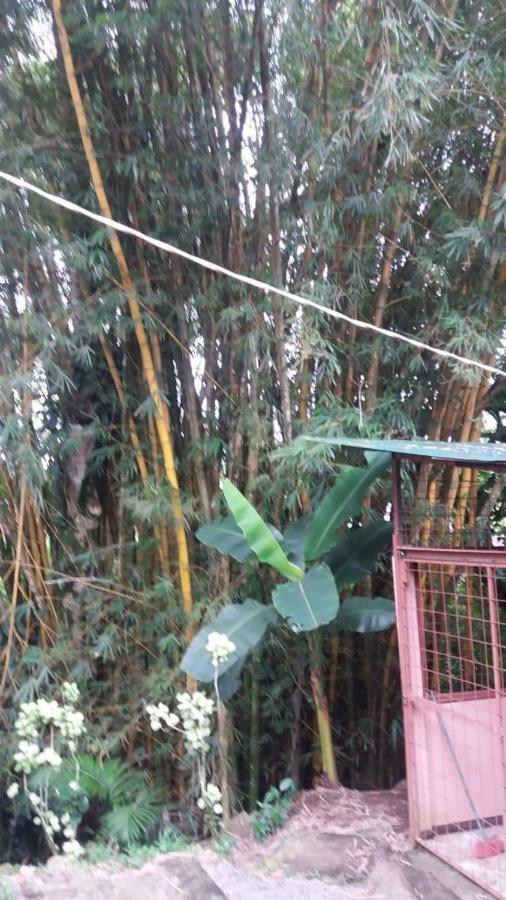 Hostel Orozco - Costa Rica Río Cuarto Eksteriør bilde